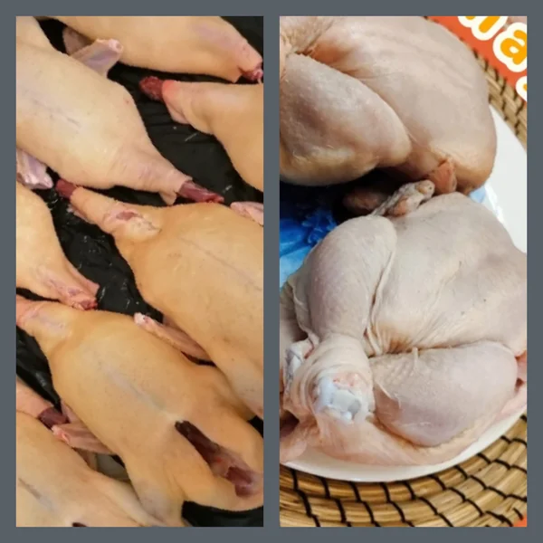 Уточки