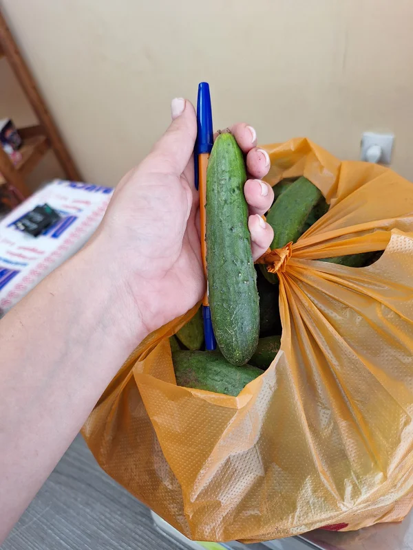 Огурцы