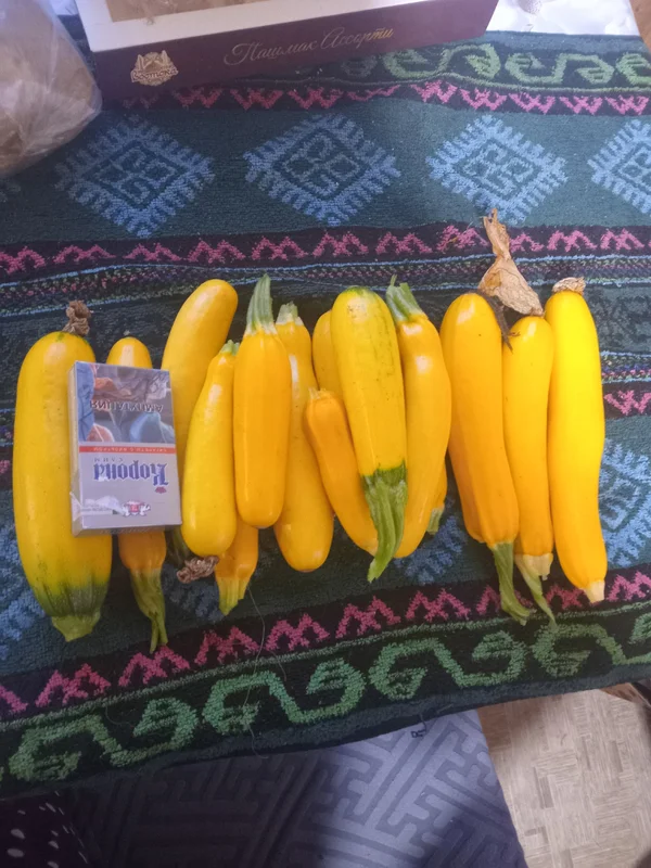 Кабачки