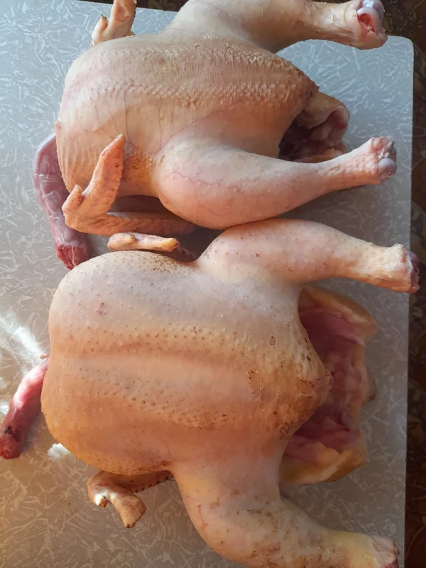 Мясо бройлеров