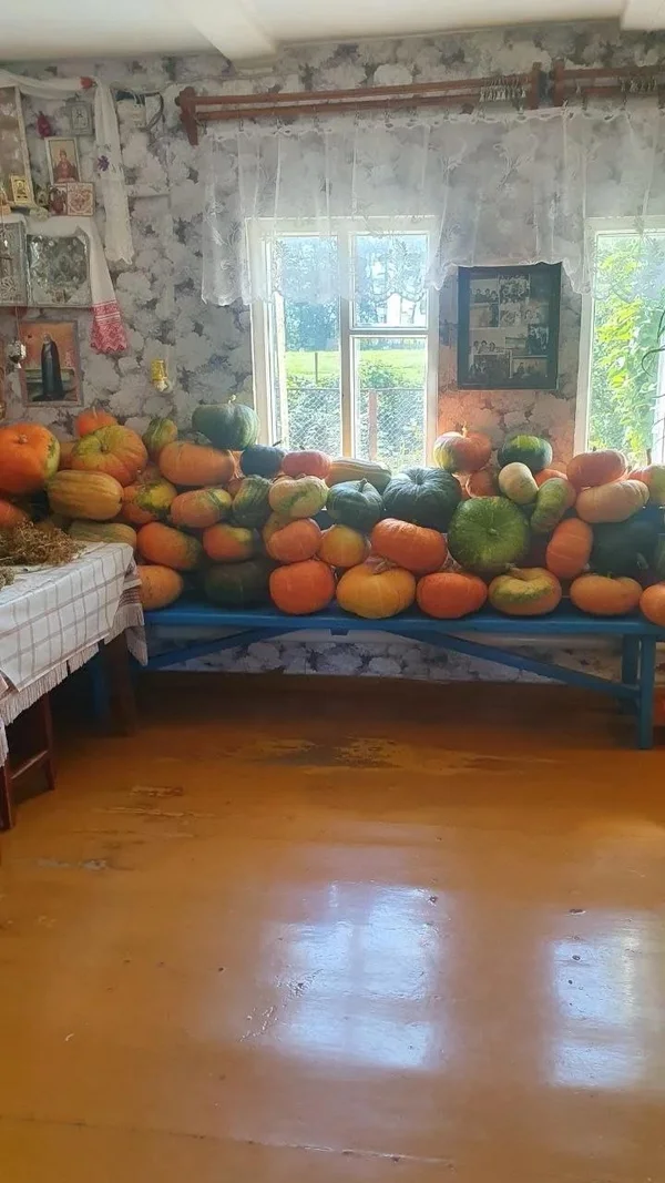 Тыква