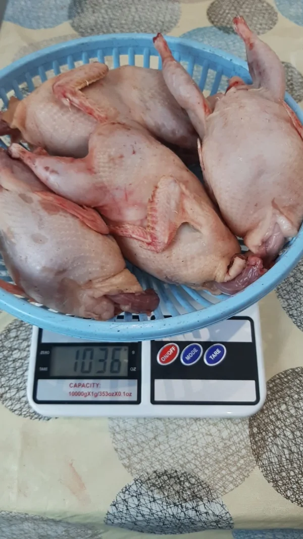 Мясо перепелки