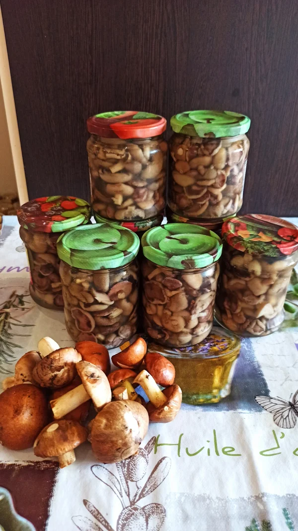 Маринованные грибы