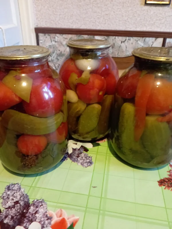 Заготовки (огурцы + помидоры)