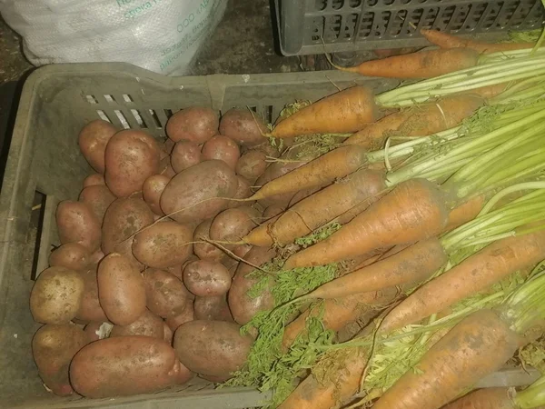 Картофель