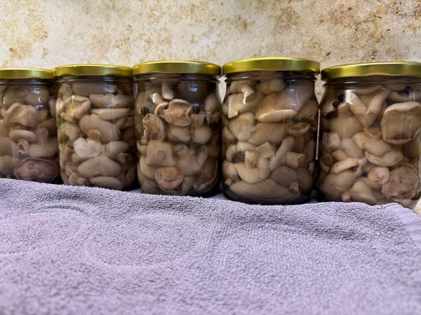 Маринованные грибы