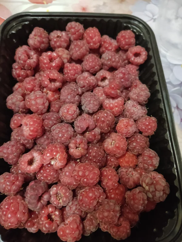 Малина