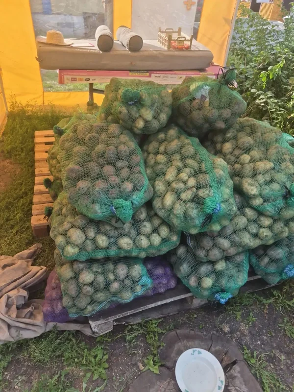 Картошка