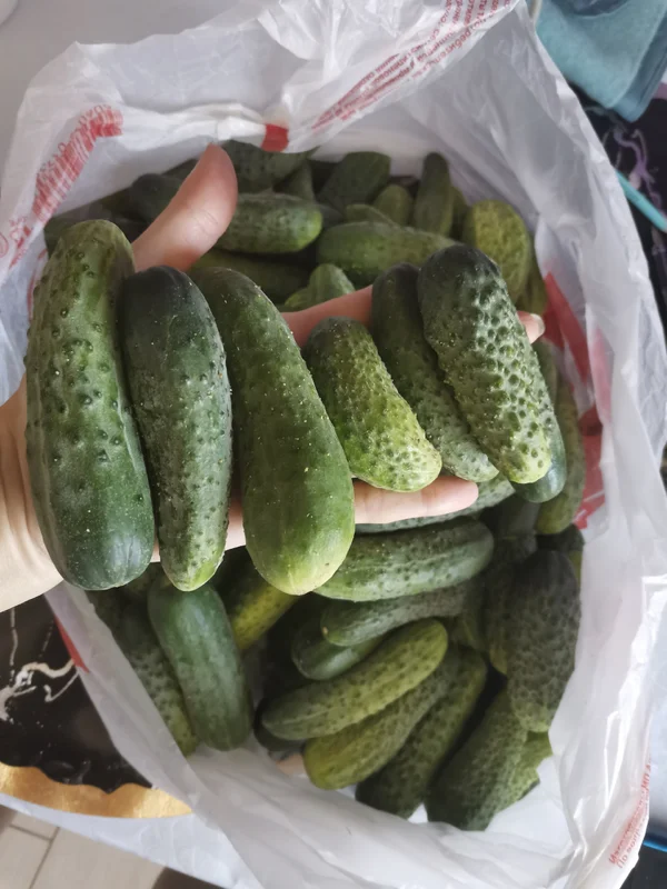 Огурчики