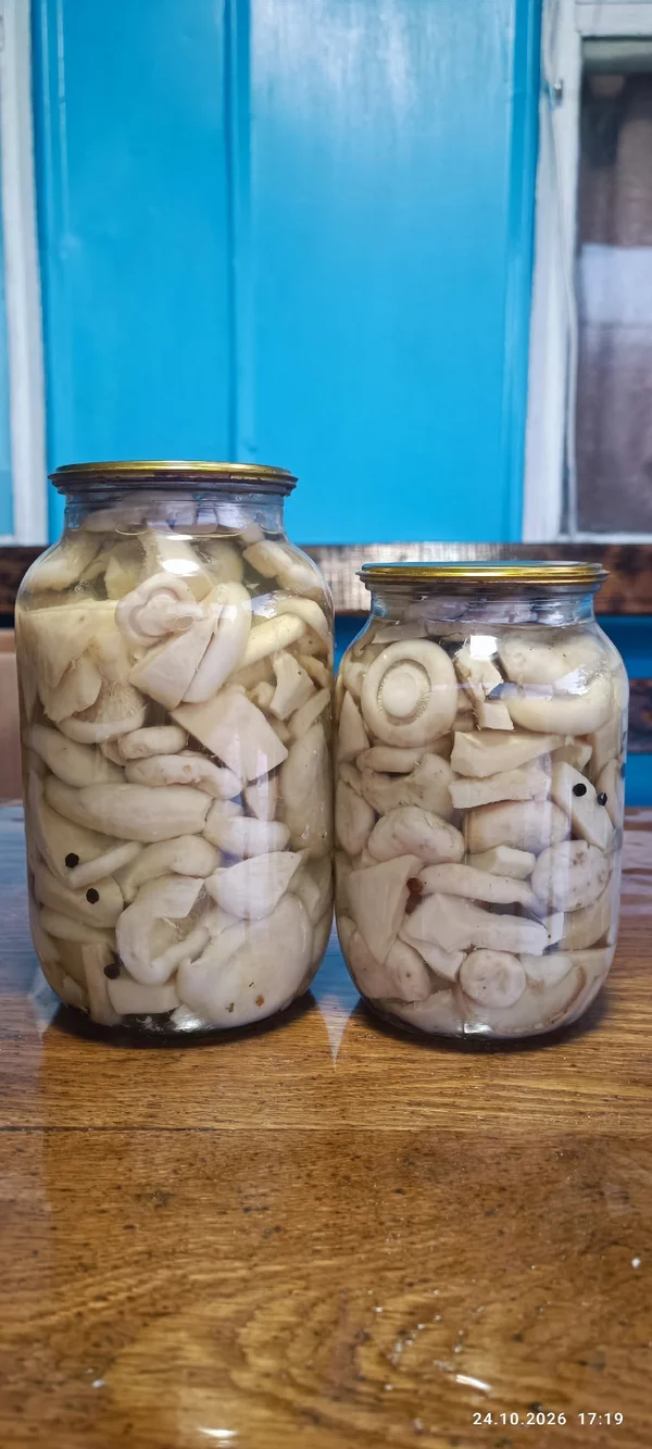 Грузди маринованные