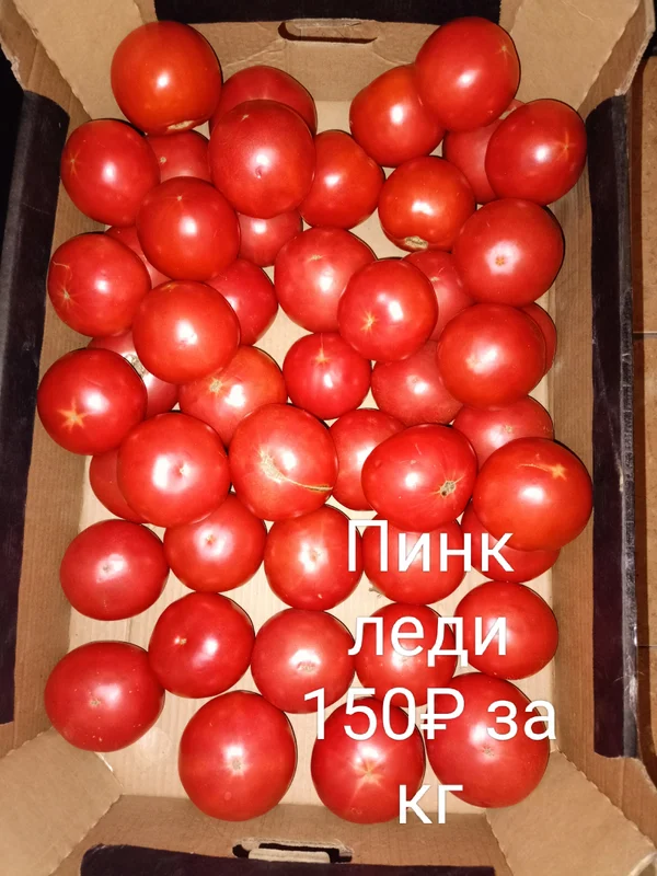 Огурцы