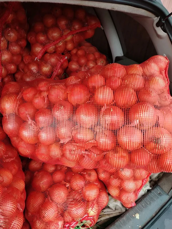 Лук