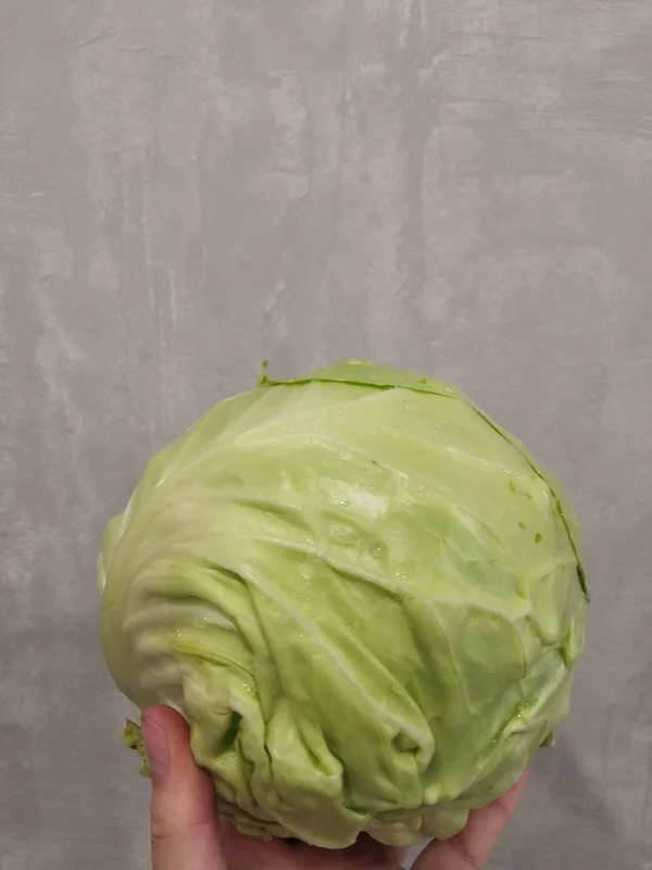 Капуста