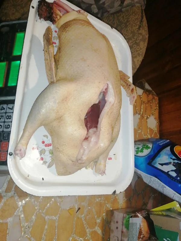 Утка домашняя (мясо)