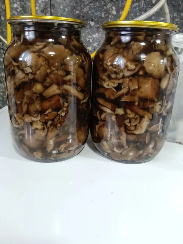Маринованные опята