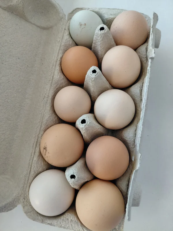 Домашние куриные яйца