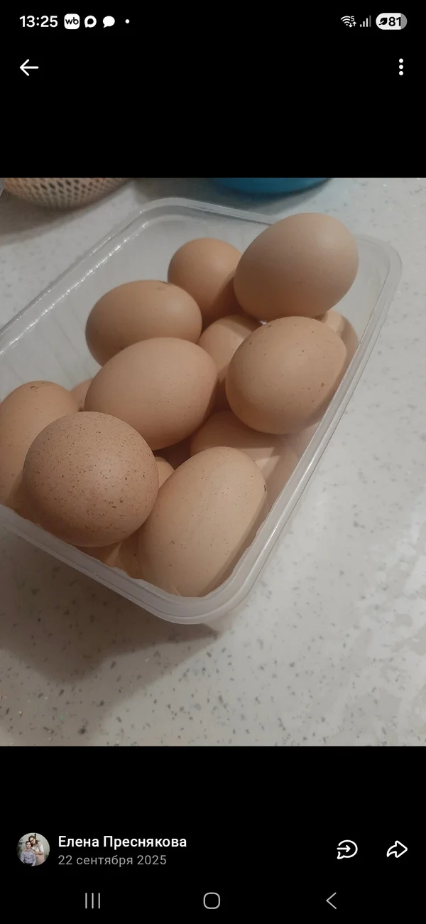 Яйцо домашнее куриное