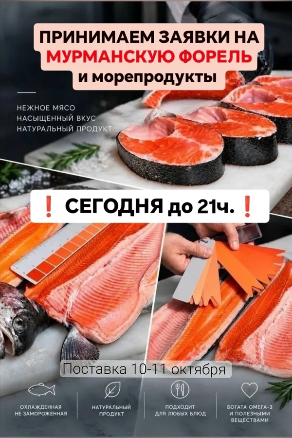 Форель охлажденная непотрошеная Мурманская (60-70% икорные)