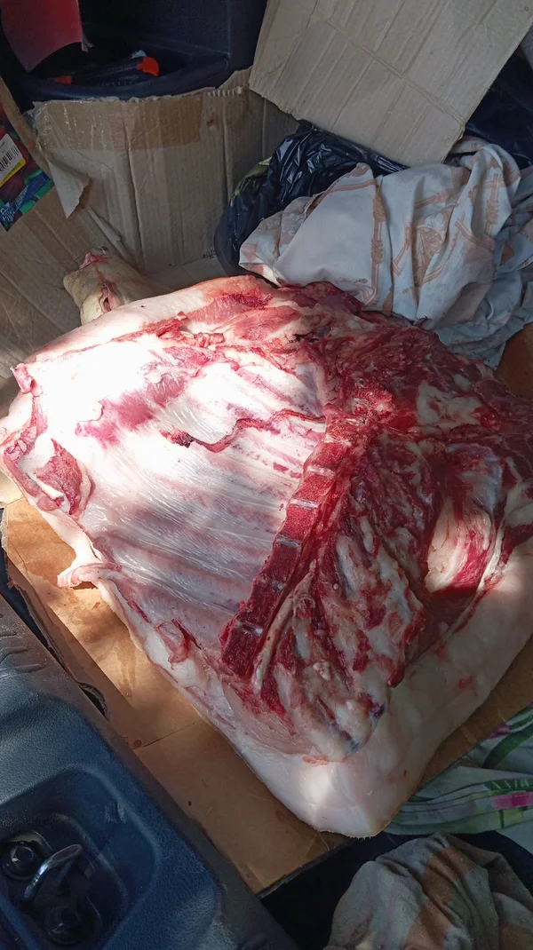 Передняя часть свинины