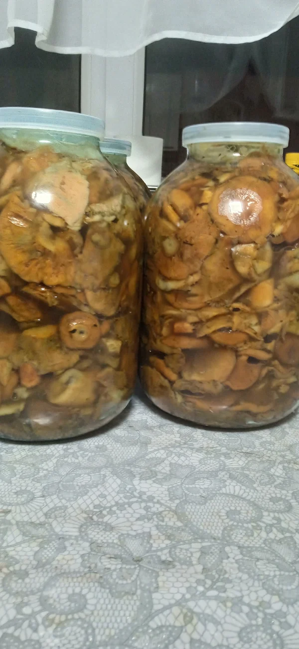 Рыжики солёные