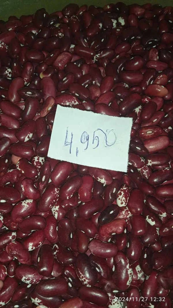 Фасоль