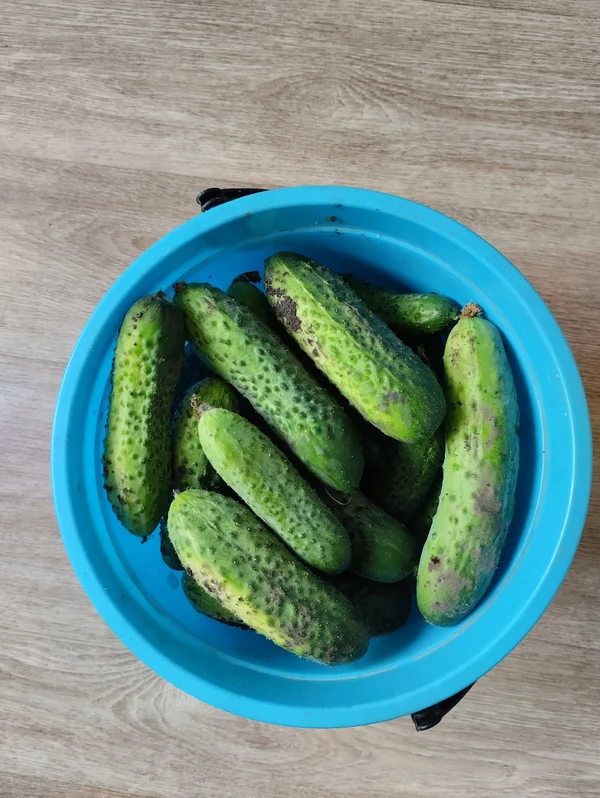 Огурчики
