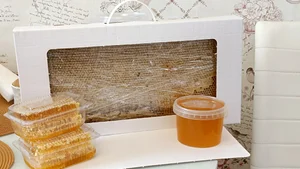 Мёд в сотах (рамка большая)