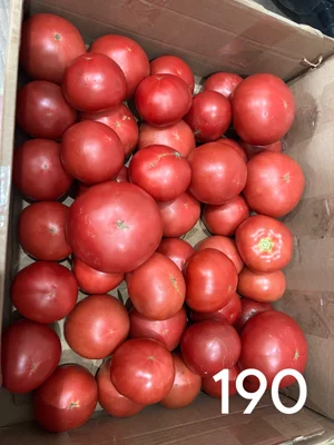 Огурцы