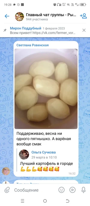 Картофель семенной 40ка дневку