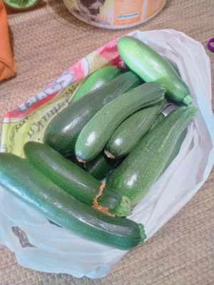 Цукини
