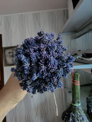 Пучки лаванды