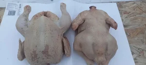 Тушка кролика