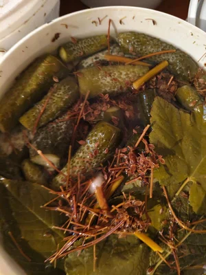 Молодые суповые домашние петушки