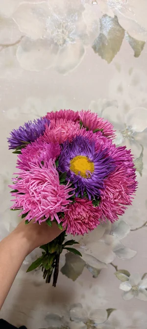 Букеты из астры (9 астр)
