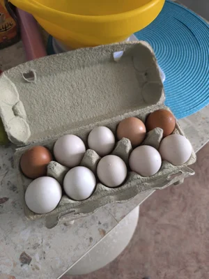 Куриные яйца