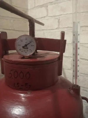 Паштет свиной