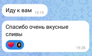 Сливы
