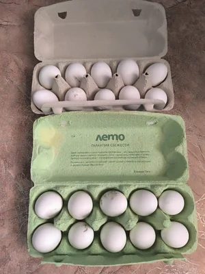 Куриное яйцо