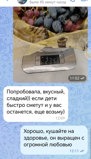 Виноград
