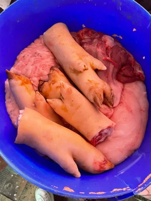 Свиная голова с языком и щеками