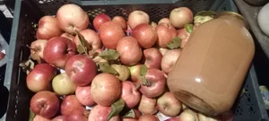 Яблочный сок