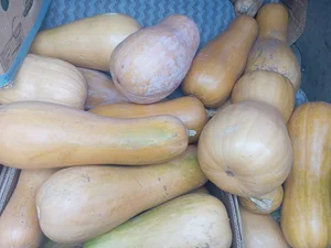 Картофель