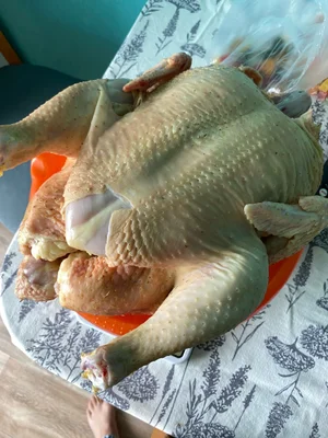 Сыр козий