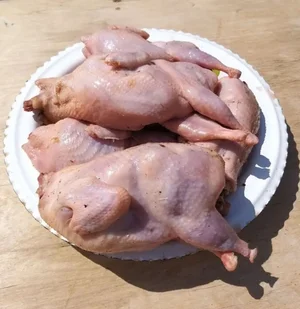 Тушки перепелов