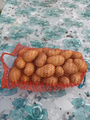 Морковь в вакуумной упаковке (200г)