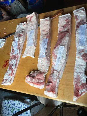 Свинина домашняя