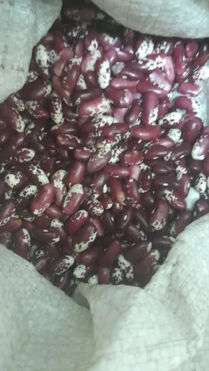 Картофель