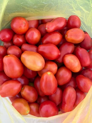 Сливки