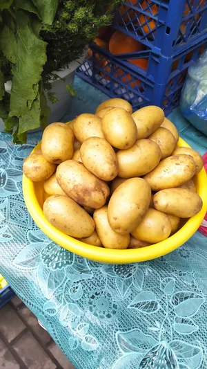 Помидоры