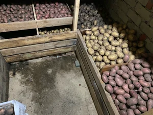 Картофель